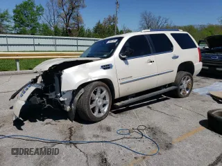 2009 Cadillac Escalade z VIN 1GYFK23239R112386, wystawiony jako Copart lot #53897395 z przebiegiem 259 547 mil mil oraz Szkoda całkowita • Salvage title. Historia ofert i sprzedaży dostępna na DreamBid. Obrazek 1.