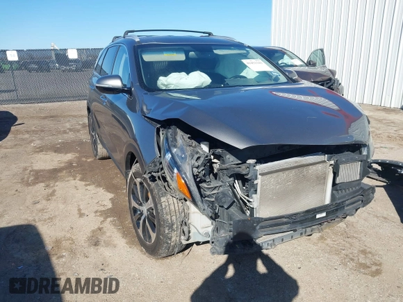 2017 Kia Sorento EX with VIN 5XYPH4A17HG247480, listed as a IAAI auction lot 41451143 with 124,423 mi miles and . Bid and sale history available at DreamBid. Image 1.