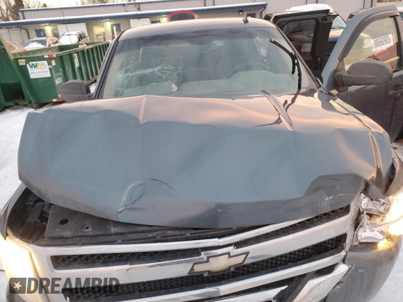 2010 Chevrolet Silverado 1500 LS with VIN 1GCSCREA7AZ264836, listed as a Copart auction lot 88660905 with 249,565 mi miles and Clean Title. Bid and sale history available at carsss.com. Image 11.