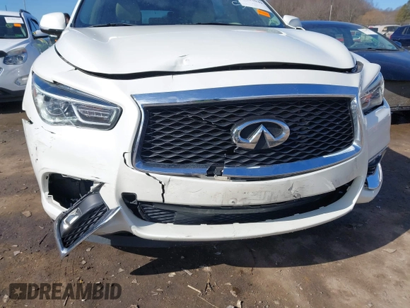 2020 Infiniti QX60 LUXE with VIN 5N1DL0MM0LC513849, listed as a IAAI auction lot 41633049 with 65,413 mi miles. Bid and sale history available at carsss.com. Image 6.