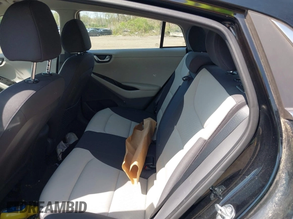 2019 Hyundai Ioniq SEL with VIN KMHC75LC0KU128967, listed as a IAAI auction lot 42190437 with 124,938 mi miles and . Bid and sale history available at DreamBid. Image 8.