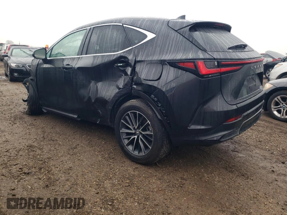 2024 Lexus NX with VIN 2T2AGCEZ9RC058874, listed as a Copart auction lot 80726904 with 15,424 mi miles and Salvage Title. Bid and sale history available at carsss.com. Image 2.