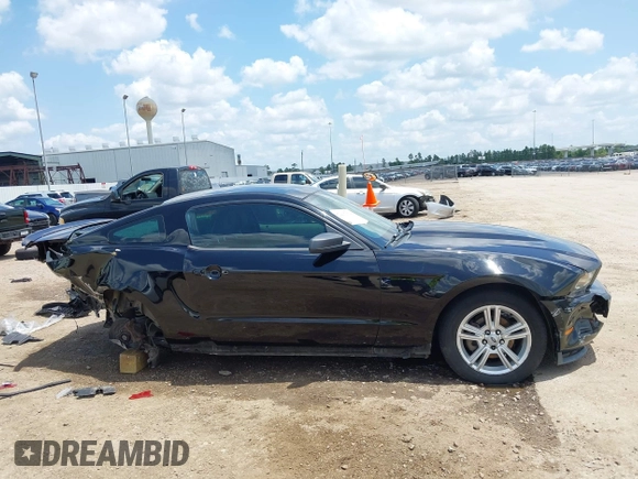 2010 Ford Mustang V6 с VIN 1ZVBP8ANXA5176164, выставлен на аукционе IAAI как лот 42217134 с пробегом 135 993 миль миль и . История ставок и продаж доступна на DreamBid. Изображение 14.