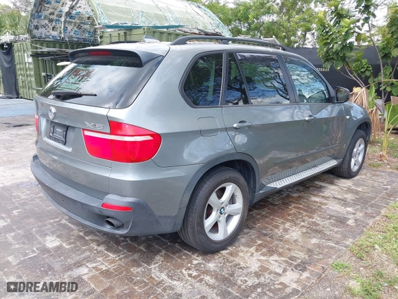 2009 BMW X5 30i with VIN 5UXFE435X9L263360, listed as a IAAI auction lot 41991181 with 113,645 mi miles. Bid and sale history available at carsss.com. Image 4.