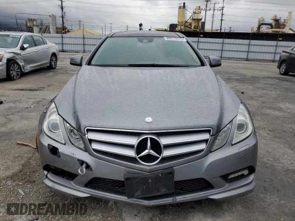 2010 Mercedes-Benz E-Class E 550 with VIN WDDKJ7CB5AF046696, listed as a Copart auction lot 49076015 with 0 mi miles and Salvage Title. Bid and sale history available at carsss.com. Image 5.