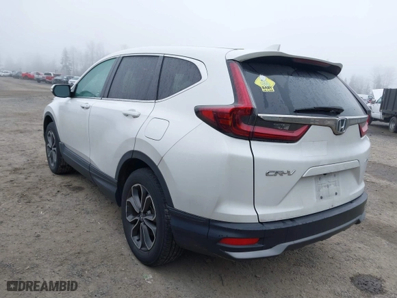 2020 Honda CR-V EX-L with VIN 5J6RW2H87LA005989, listed as a IAAI auction lot 41891166 with 32,446 mi miles. Bid and sale history available at carsss.com. Image 3.