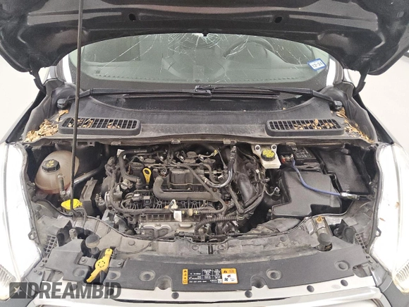 2019 Ford Escape SE with VIN 1FMCU0GD2KUC52723, listed as a Copart auction lot 51259255 with 127,857 mi miles and Clean Title. Bid and sale history available at carsss.com. Image 11.