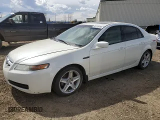 2006 Acura TL with VIN 19UUA66256A803773, listed as a Copart auction lot 55176685 with 286,146 mi miles and Clean Title. Bid and sale history available at carsss.com. Image 1.