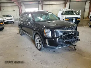 2022 Kia Telluride EX with VIN 5XYP34HC4NG239743, listed as a Copart auction lot 56178205 with Not provided miles and Salvage title. Bid and sale history available at DreamBid. Image 14.