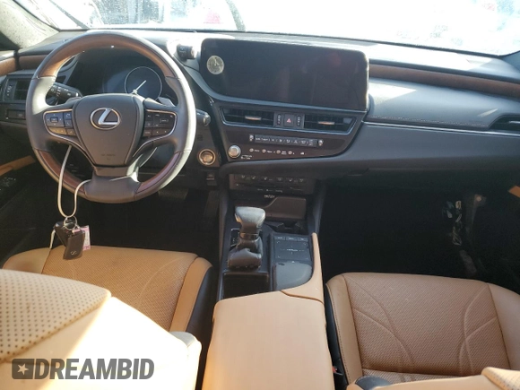 2022 Lexus ES with VIN 58AFZ1B19NU139270, listed as a Copart auction lot 76673754 with 0 mi miles and Non Repairable. Bid and sale history available at carsss.com. Image 8.