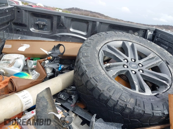 2017 Ford F-150 XL with VIN 1FTFW1EG1HKD42609, listed as a IAAI auction lot 41698693 with 130,402 mi miles and . Bid and sale history available at DreamBid. Image 12.