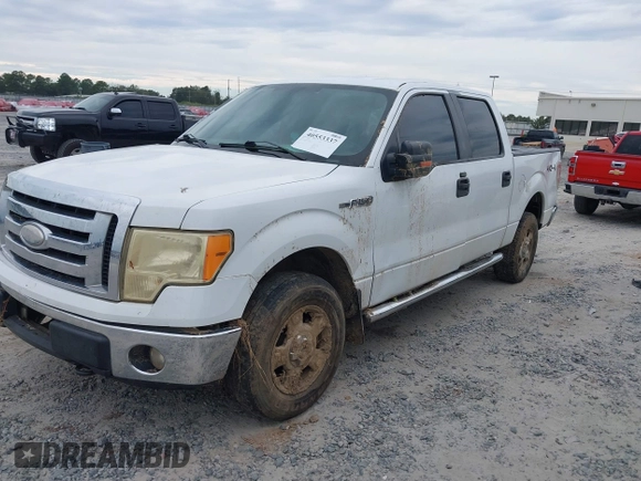 2009 Ford F-150 XL с VIN 1FTPW14V89KC93639, выставлен на аукционе IAAI как лот 40553337 с пробегом 229 717 миль миль и . История ставок и продаж доступна на DreamBid. Изображение 17.