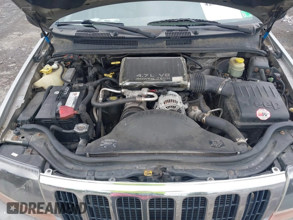 2000 Jeep Grand Cherokee Laredo with VIN 1J4GW48N9YC191779, listed as a IAAI auction lot 42378307 with 224,836 mi miles and . Bid and sale history available at DreamBid. Image 10.