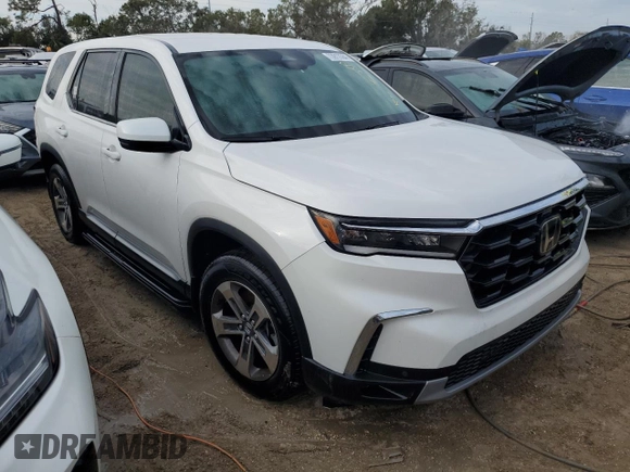2024 Honda Pilot EX-L 8 Passenger with VIN 5FNYG1H49RB032102, listed as a Copart auction lot 73913564 with 0 mi miles and Salvage Title. Bid and sale history available at carsss.com. Image 4.