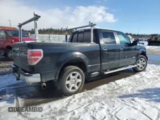 2014 Ford F-150 XL with VIN 1FTFW1ET9EFB72484, listed as a Copart auction lot 46897505 with 0 mi miles and Salvage Title. Bid and sale history available at carsss.com. Image 3.