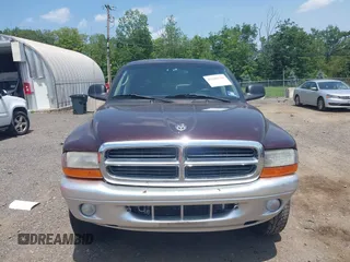 2004 Dodge Dakota SLT with VIN 1D7HG48NX4S649522, listed as a IAAI auction lot 42580132 with 124,037 mi miles and . Bid and sale history available at DreamBid. Image 6.