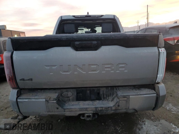 2023 Toyota Tundra Platinum with VIN 5TFNA5DB9PX128945, listed as a Copart auction lot 83960764 with Not provided miles and Salvage title. Bid and sale history available at DreamBid. Image 6.