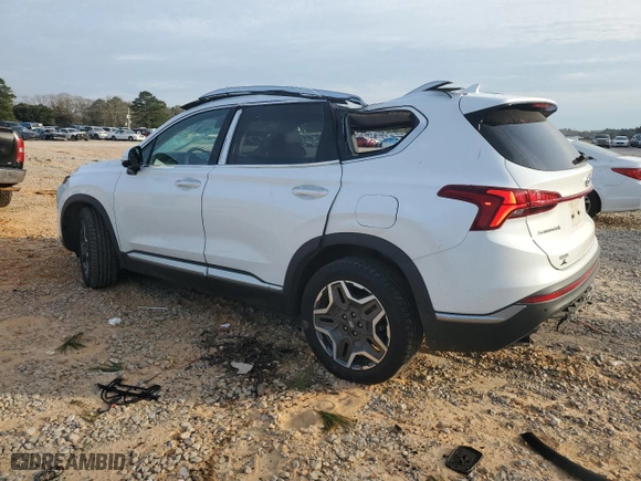 2021 Hyundai Santa Fe Limited with VIN 5NMS44AL7MH316966, listed as a Copart auction lot 45665785 with 60,176 mi miles and Salvage Title. Bid and sale history available at carsss.com. Image 2.