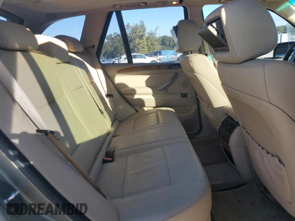 2006 BMW X5 3.0i with VIN 5UXFA135X6LY39051, listed as a Copart auction lot 76053444 with 175,545 mi miles and Salvage Title. Bid and sale history available at carsss.com. Image 10.