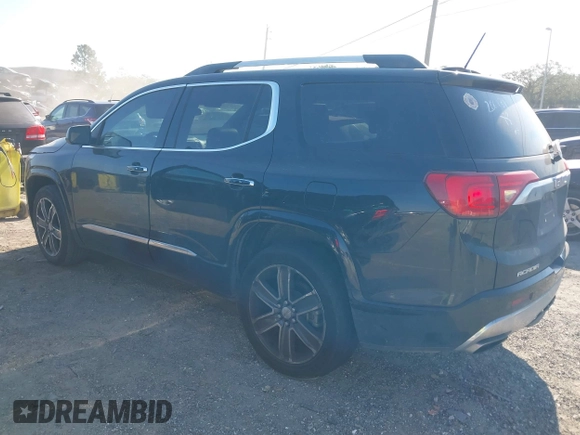 2017 GMC Acadia Denali with VIN 1GKKNPLSXHZ206132, listed as a IAAI auction lot 41507587 with 138,266 mi miles. Bid and sale history available at carsss.com. Image 3.