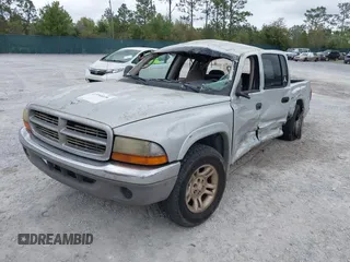 2003 Dodge Dakota SLT with VIN 1D7HL48N13S274856, listed as a IAAI auction lot 41954038 with 306,728 mi miles. Bid and sale history available at carsss.com. Image 2.