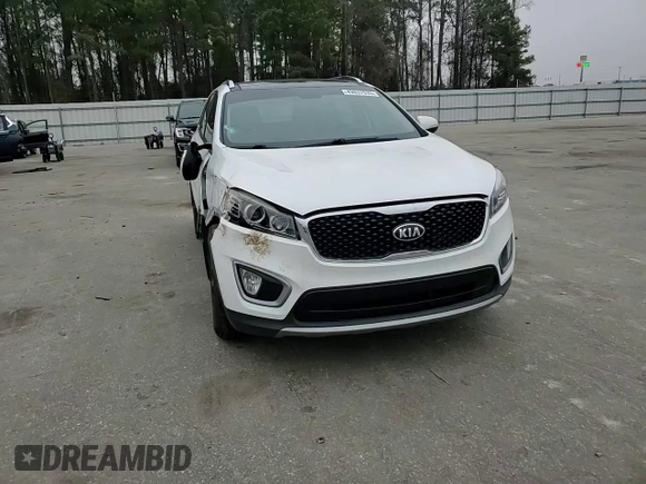 2016 Kia Sorento EX with VIN 5XYPH4A18GG125810, listed as a Copart auction lot 49037535 with 161,383 mi miles and Salvage Title. Bid and sale history available at DreamBid. Image 12.