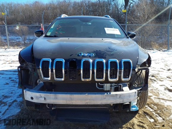 2017 Jeep Cherokee Limited with VIN 1C4PJMDS2HW636670, listed as a IAAI auction lot 41334870 with 122,973 mi miles. Bid and sale history available at carsss.com. Image 12.