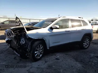 2014 Jeep Cherokee Limited with VIN 1C4PJMDS2EW246955, listed as a Copart auction lot 83755144 with Not Provided miles and Non Repairable. Bid and sale history available at DreamBid. Image 1.