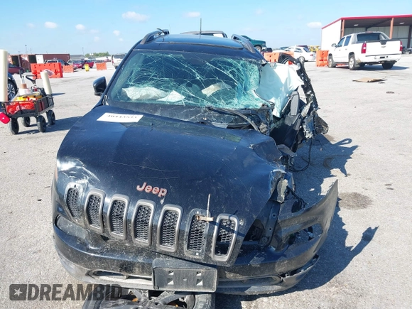 2017 Jeep Cherokee Latitude with VIN 1C4PJLCB1HW549709, listed as a IAAI auction lot 40443533 with Not Provided miles and . Bid and sale history available at DreamBid. Image 12.