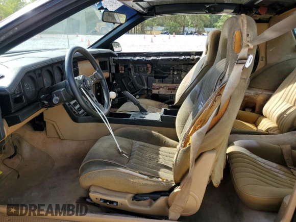 1982 Pontiac Firebird z VIN 1G2AX87H9CL548192, wystawiony jako Copart lot #79887554 z przebiegiem 109 953 mil mil oraz Czysty tytuł • Clean title. Historia ofert i sprzedaży dostępna na DreamBid. Obrazek 7.
