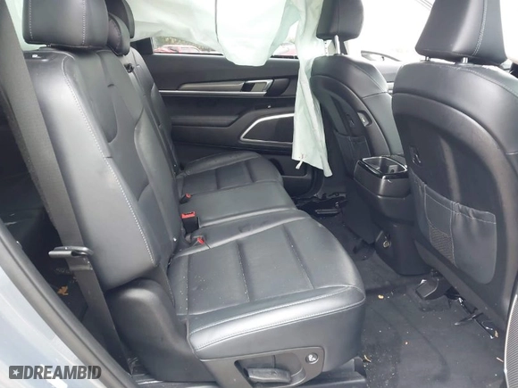 2020 Kia Telluride LX with VIN 5XYP24HC7LG008576, listed as a IAAI auction lot 41212137 with 113,820 mi miles. Bid and sale history available at carsss.com. Image 8.