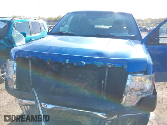 2009 Ford F-150 XL with VIN 1FTPW14V59KC52255, listed as a IAAI auction lot 42123114 with 190,641 mi miles and . Bid and sale history available at DreamBid. Image 6.