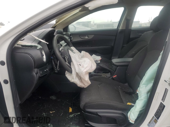 2019 Kia Forte LXS with VIN 3KPF24AD1KE081596, listed as a Copart auction lot 60381985 with Not provided miles and Salvage title. Bid and sale history available at DreamBid. Image 7.