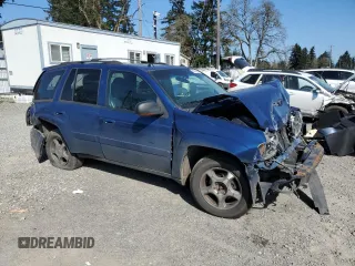 2005 Chevrolet TrailBlazer LT with VIN 1GNDT13S452373265, listed as a Copart auction lot 53399925 with Not Provided miles and Salvage Title. Bid and sale history available at DreamBid. Image 4.