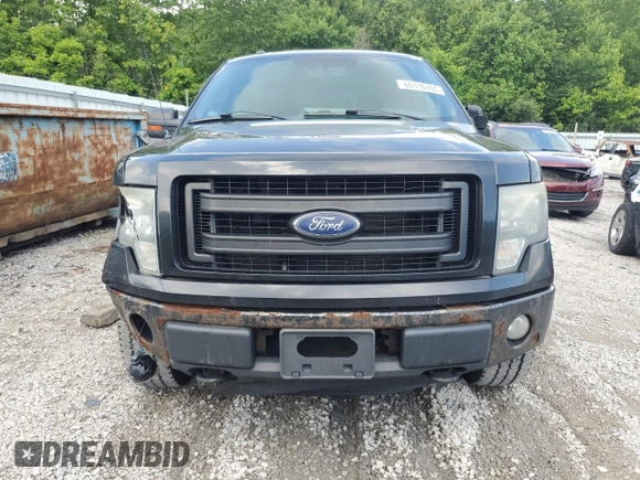 2013 Ford F-150 XL with VIN 1FTFW1EF5DKD04673, listed as a Copart auction lot 60316705 with 308,347 mi miles and Salvage title. Bid and sale history available at DreamBid. Image 5.