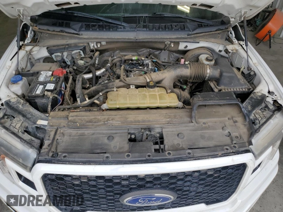 2020 Ford F-150 XL with VIN 1FTEX1CP3LKD04948, listed as a Copart auction lot 48978535 with 183,465 mi miles and Clean Title. Bid and sale history available at DreamBid. Image 11.