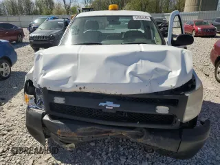 2008 Chevrolet Silverado 1500 1LT with VIN 1GCEK14038Z185958, listed as a Copart auction lot 54844445 with 295,042 mi miles and Clean Title. Bid and sale history available at DreamBid. Image 11.