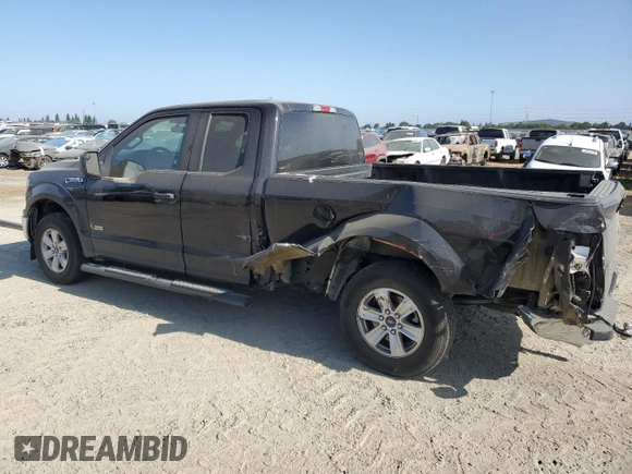 2019 Ford F-150 XL with VIN 1FTEX1CP9KKC99107, listed as a Copart auction lot 52387135 with 36,450 mi miles and Salvage title. Bid and sale history available at DreamBid. Image 2.