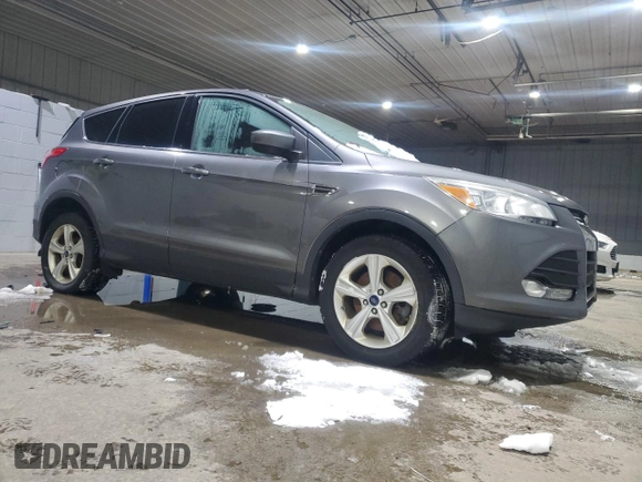 2014 Ford Escape SE with VIN 1FMCU9GX8EUC26579, listed as a Copart auction lot 48147975 with Not Provided miles and Clean Title. Bid and sale history available at DreamBid. Image 4.
