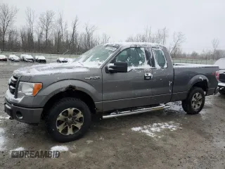 2013 Ford F-150 XL with VIN 1FTFX1EF4DFC75804, listed as a Copart auction lot 53296965 with 179,556 mi miles and Clean Title. Bid and sale history available at carsss.com. Image 1.
