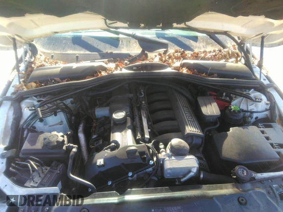 2008 BMW 5 Series 528i with VIN WBANU53508CT15533, listed as a IAAI auction lot 41804462 with Not Provided miles and . Bid and sale history available at DreamBid. Image 10.