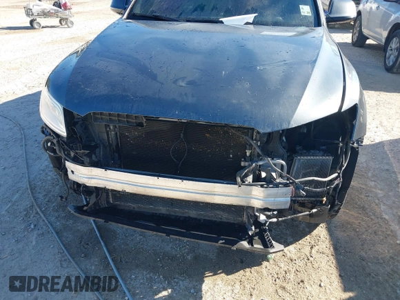 2015 Audi SQ5 Premium Plus with VIN WA1CGAFP8FA111069, listed as a IAAI auction lot 41155312 with 148,888 mi miles and . Bid and sale history available at DreamBid. Image 6.