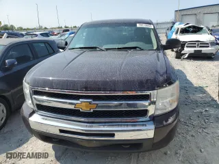 2009 Chevrolet Silverado 1500 LT with VIN 1GCEK29C49Z240699, listed as a Copart auction lot 70318644 with 294,412 mi miles and Salvage Title. Bid and sale history available at carsss.com. Image 5.
