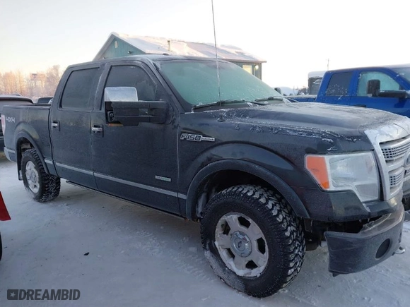 2012 Ford F-150 XL with VIN 1FTFW1ET1CFB74534, listed as a IAAI auction lot 41243395 with NaN miles. Bid and sale history available at carsss.com. Image 13.