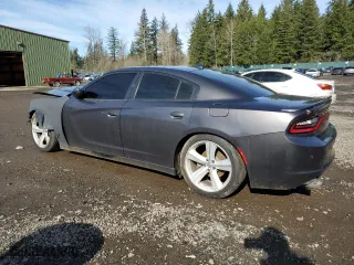 2018 Dodge Charger Daytona with VIN 2C3CDXCTXJH205942, listed as a Copart auction lot 46811795 with 124,691 mi miles and Clean Title. Bid and sale history available at carsss.com. Image 2.