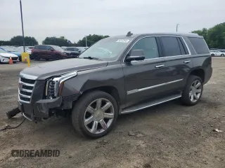 2020 Cadillac Escalade Luxury with VIN 1GYS4BKJ2LR101971, listed as a Copart auction lot 58312245 with 58,069 mi miles and Salvage title. Bid and sale history available at DreamBid. Image 1.