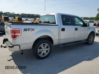 2014 Ford F-150 XL with VIN 1FTEW1CM6EFC60478, listed as a Copart auction lot 58873165 with 126,414 mi miles and Salvage title. Bid and sale history available at DreamBid. Image 3.