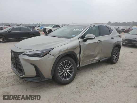 2022 Lexus NX with VIN 2T2ADCAZXNC001110, listed as a Copart auction lot 49154505 with 2,623 mi miles and Salvage Title. Bid and sale history available at carsss.com. Image 1.