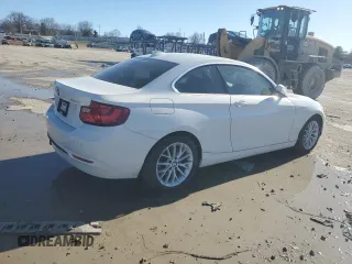 2016 BMW 2 Series 228i xDrive with VIN WBA1G9C55GV599175, listed as a Copart auction lot 44058195 with 106,544 mi miles and Salvage title. Bid and sale history available at DreamBid. Image 3.