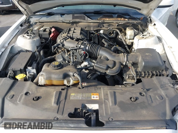 2013 Ford Mustang V6 with VIN 1ZVBP8AM1D5254018, listed as a IAAI auction lot 42738081 with 231,643 mi miles and . Bid and sale history available at DreamBid. Image 10.